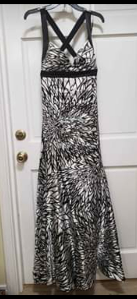Morgan and Co prom/formal dress.